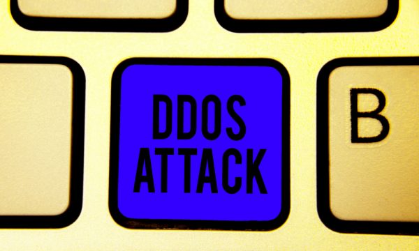       DDoS-  -