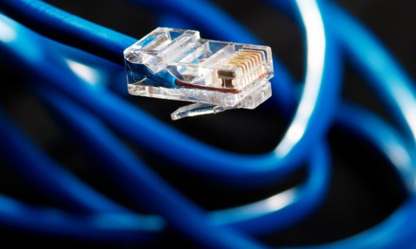 ������������ LAN-������� � ������ ������� �� 24%